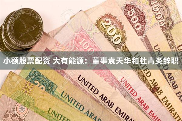 小额股票配资 大有能源：董事袁天华和杜青炎辞职
