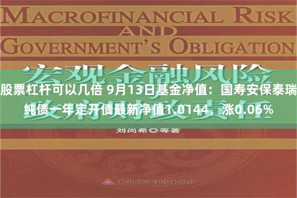 股票杠杆可以几倍 9月13日基金净值：国寿安保泰瑞纯债一年定开债最新净值1.0144，涨0.06%