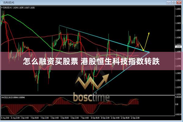 怎么融资买股票 港股恒生科技指数转跌