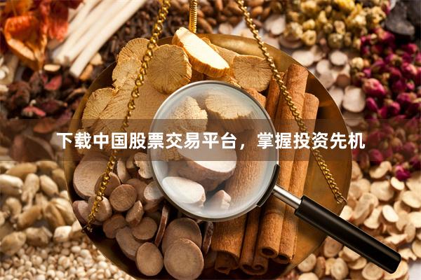 下载中国股票交易平台，掌握投资先机