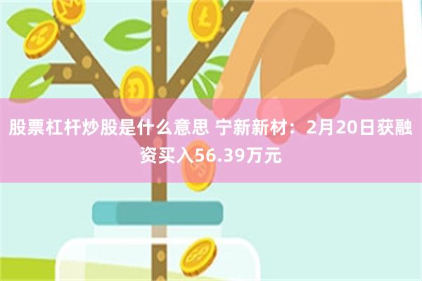 股票杠杆炒股是什么意思 宁新新材：2月20日获融资买入56.39万元