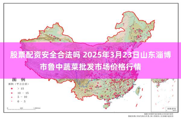 股票配资安全合法吗 2025年3月23日山东淄博市鲁中蔬菜批发市场价格行情
