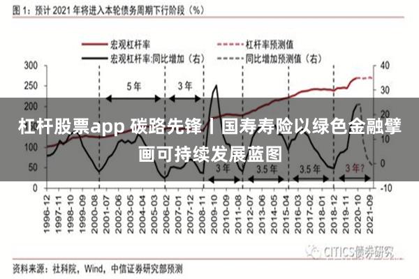 杠杆股票app 碳路先锋丨国寿寿险以绿色金融擘画可持续发展蓝图
