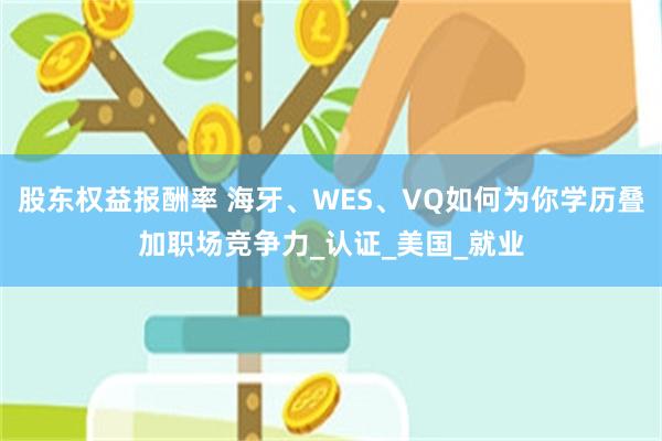 股东权益报酬率 海牙、WES、VQ如何为你学历叠加职场竞争力_认证_美国_就业