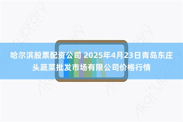 哈尔滨股票配资公司 2025年4月23日青岛东庄头蔬菜批发市场有限公司价格行情