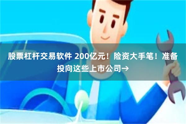 股票杠杆交易软件 200亿元！险资大手笔！准备投向这些上市公司→