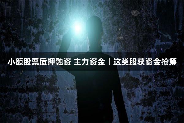 小额股票质押融资 主力资金丨这类股获资金抢筹