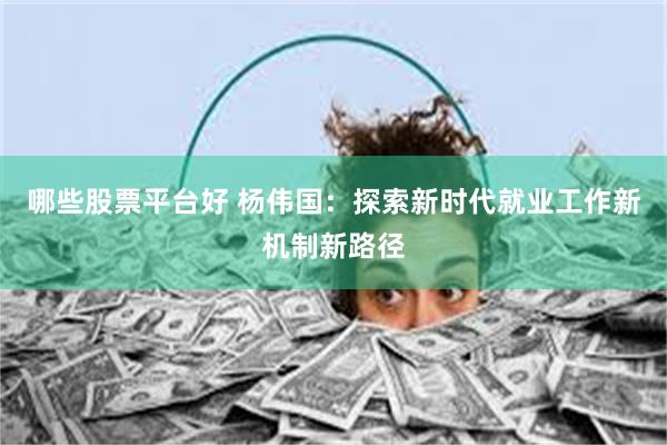 哪些股票平台好 杨伟国：探索新时代就业工作新机制新路径