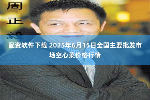 配资软件下载 2025年6月15日全国主要批发市场空心菜价格行情