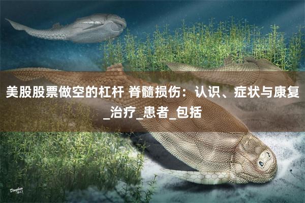 美股股票做空的杠杆 脊髓损伤：认识、症状与康复_治疗_患者_包括