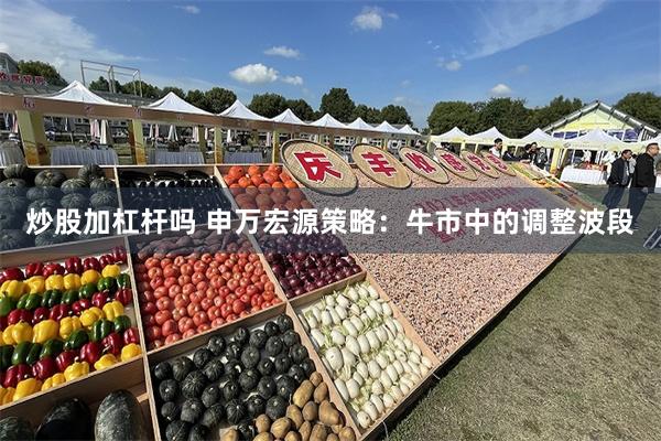 炒股加杠杆吗 申万宏源策略：牛市中的调整波段