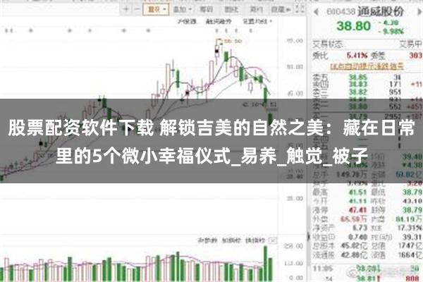 股票配资软件下载 解锁吉美的自然之美：藏在日常里的5个微小幸福仪式_易养_触觉_被子