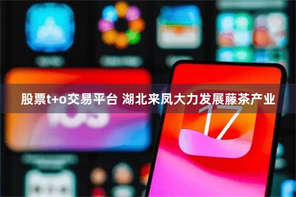 股票t+o交易平台 湖北来凤大力发展藤茶产业